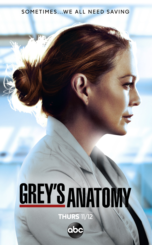Season 17 Of Grey S Anatomy Will Finally Premiere In November E Online Uk
